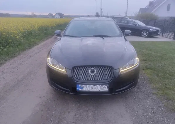 jaguar dolnośląskie Jaguar XF cena 45500 przebieg: 114000, rok produkcji 2015 z Polkowice